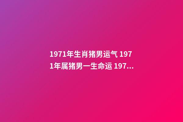 1971年生肖猪男运气 1971年属猪男一生命运 1971年属猪男人命运-第1张-观点-玄机派